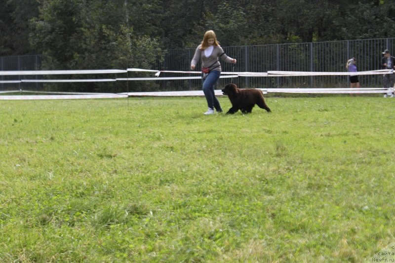 Фотография № 229855