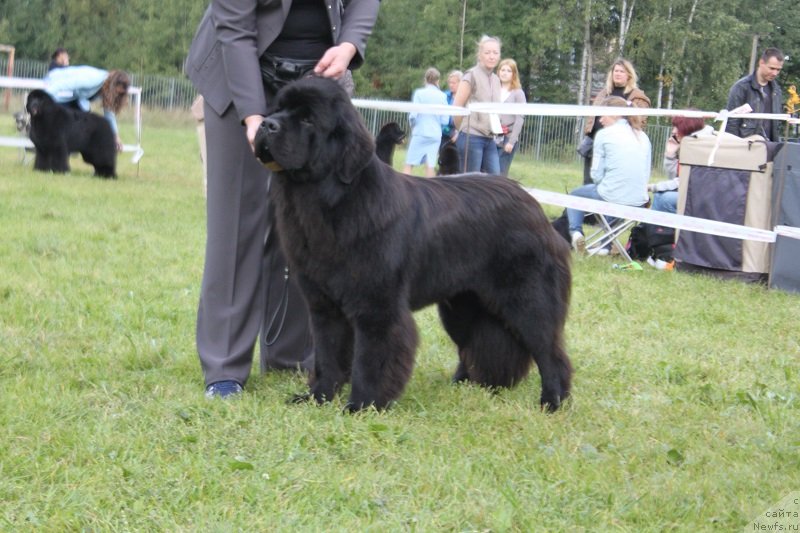 Фотография № 229857