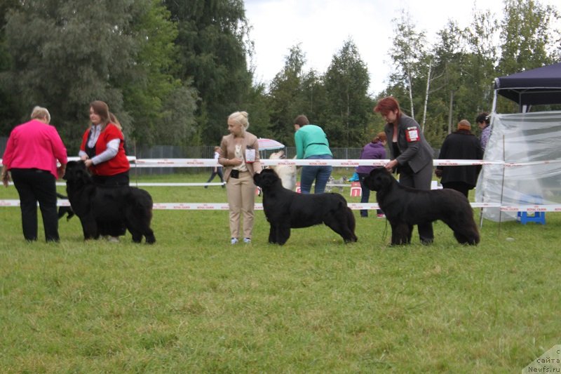 Фотография № 229862