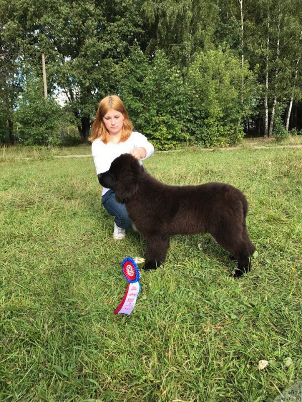 Фотография № 229864