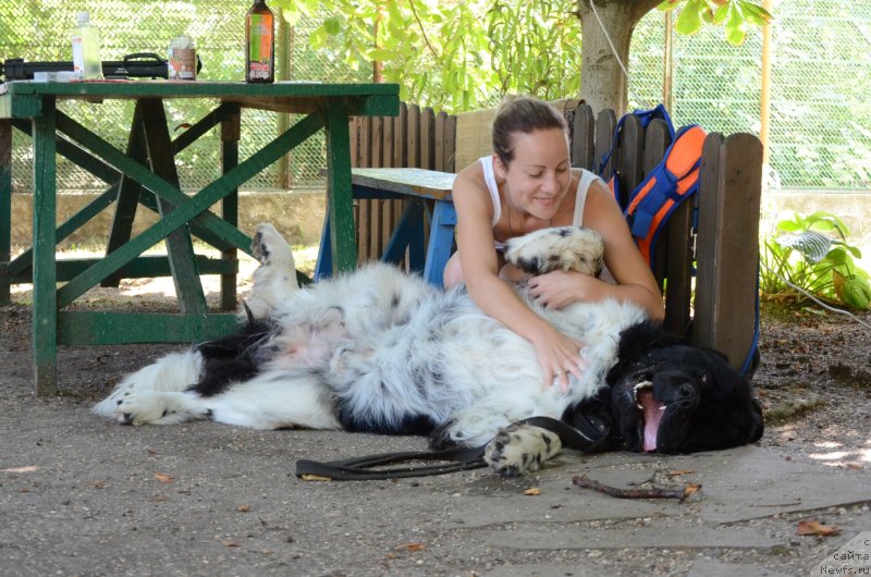 Фотография № 229867