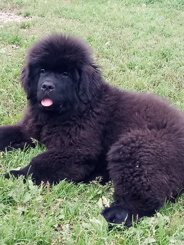 Фотография № 229873