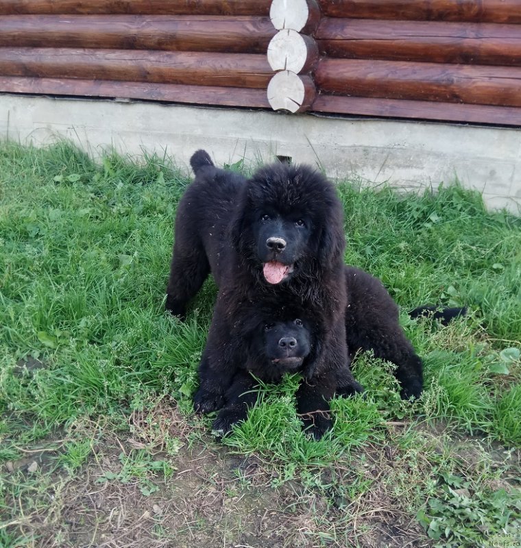 Фотография № 229874