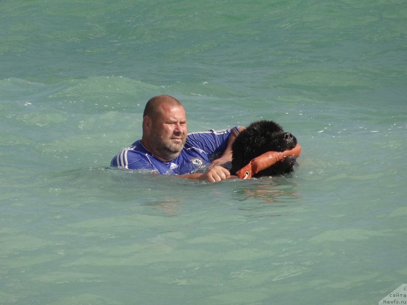 Фотография № 229890