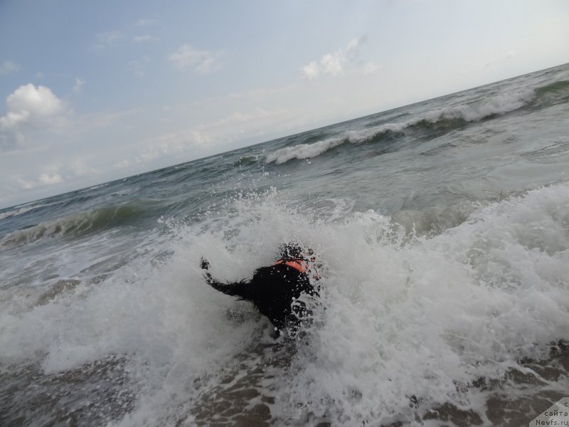 Фотография № 229891