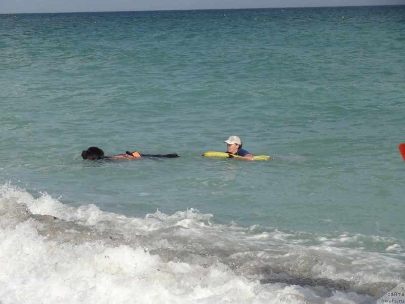 Фотография № 229892