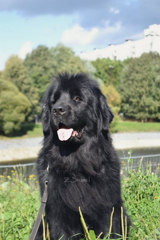 Фотография № 229916