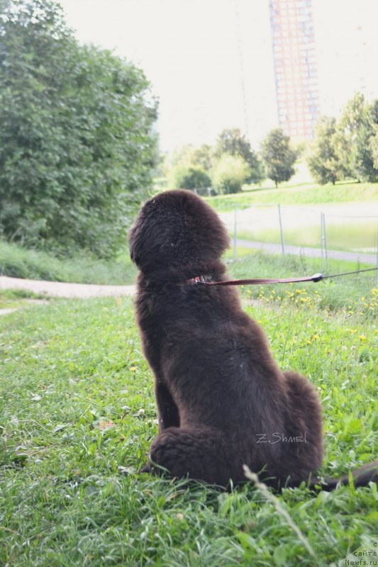 Фотография № 229923