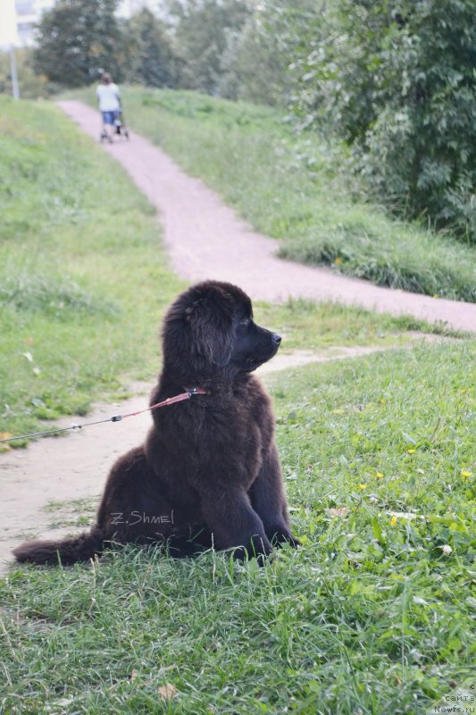 Фотография № 229927