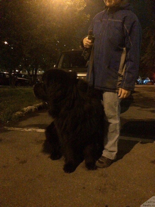 Фотография № 229942