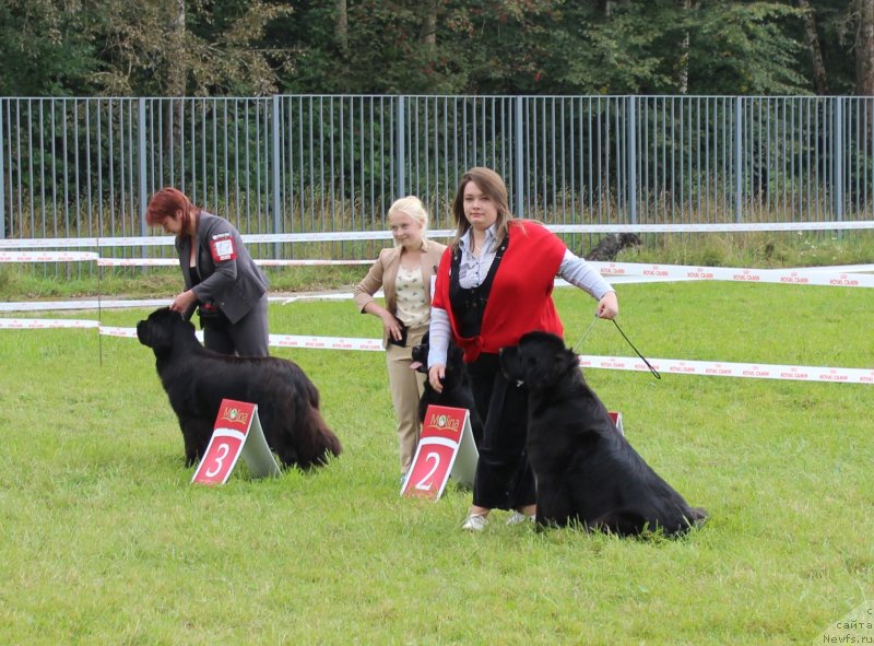 Фотография № 229956