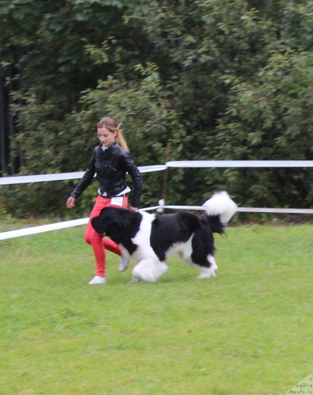 Фотография № 229958