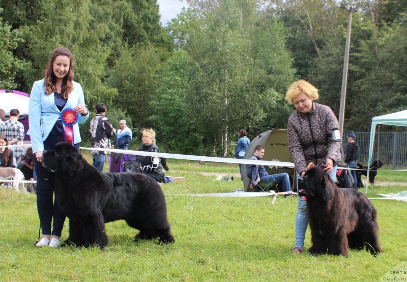 Фотография № 229965