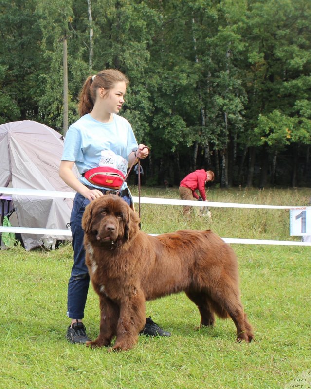 Фотография № 229967