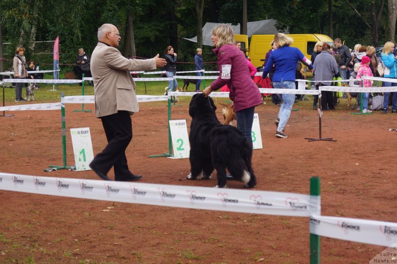 Фотография № 229976