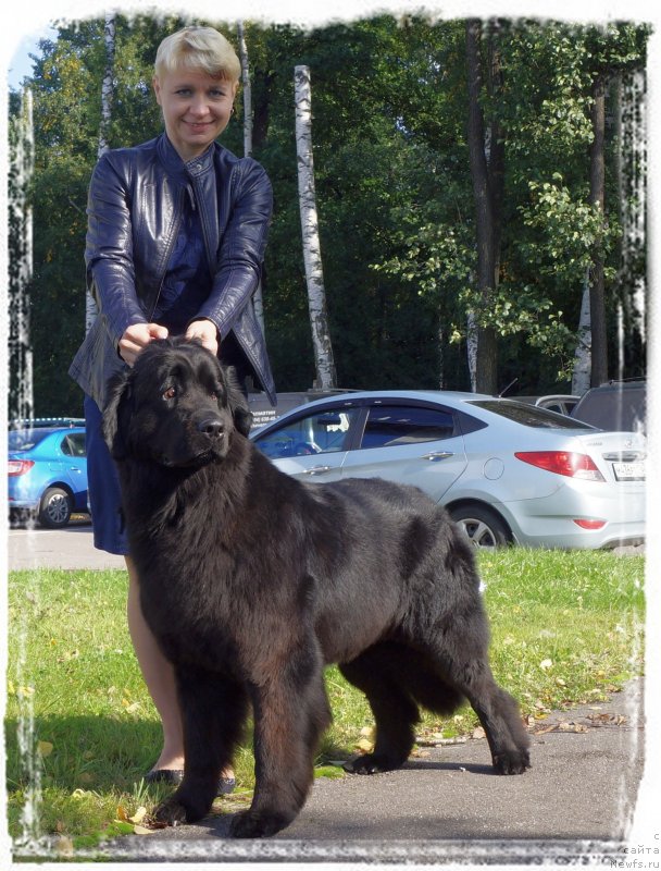 Фотография № 230025