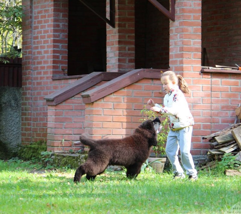 Фотография № 230035