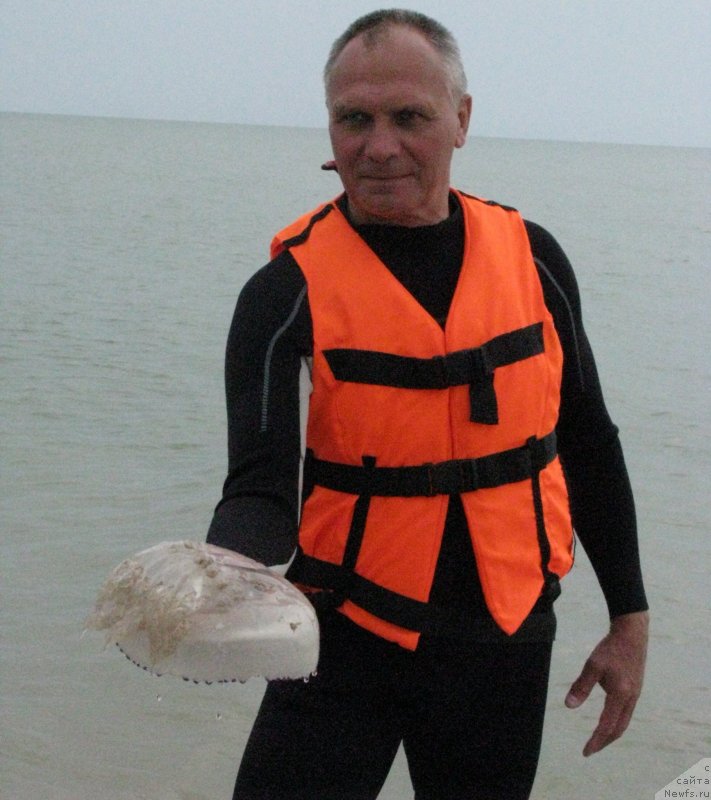 Фотография № 230052