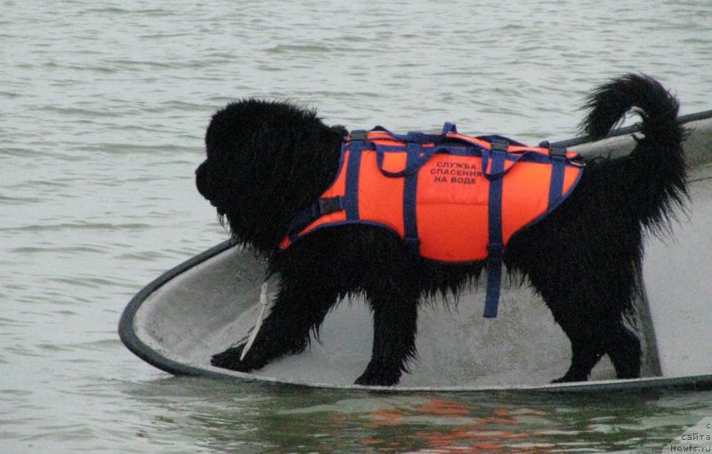 Фотография № 230053