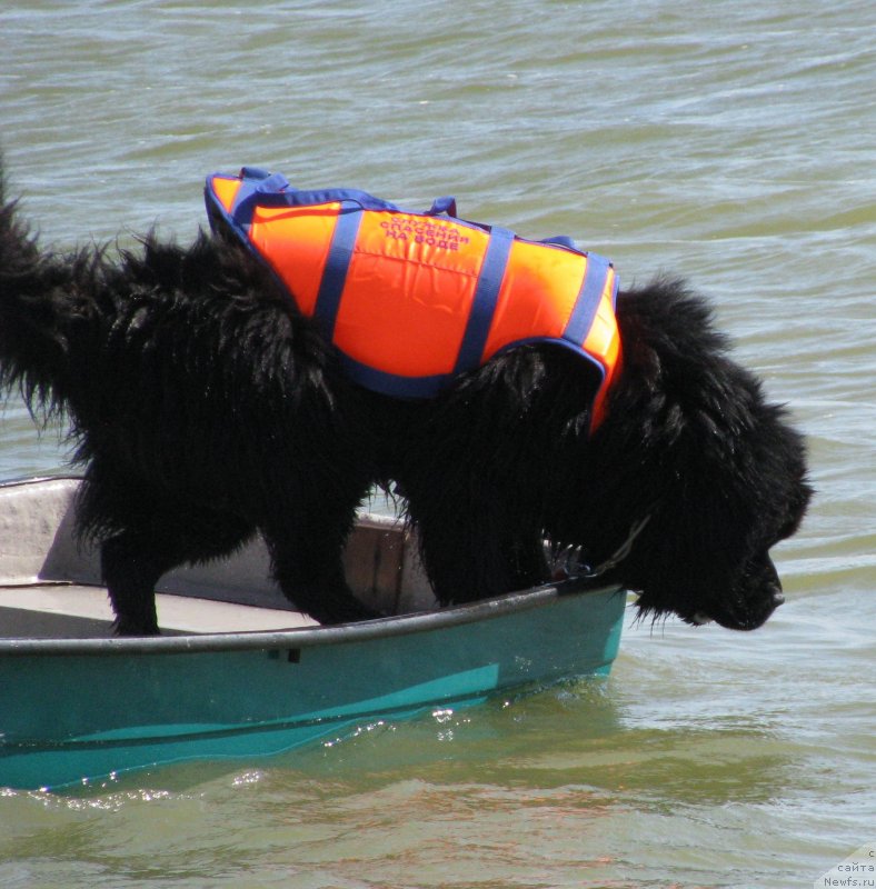 Фотография № 230054