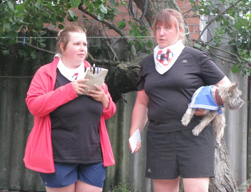 Фотография № 230055