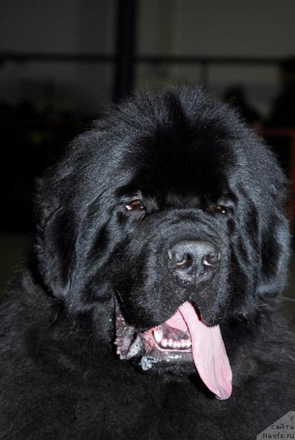 Фотография № 23006