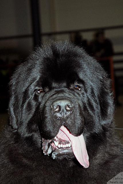 Фотография № 23007