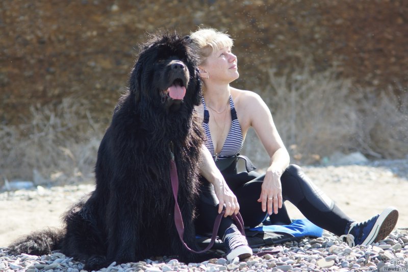 Фотография № 230080