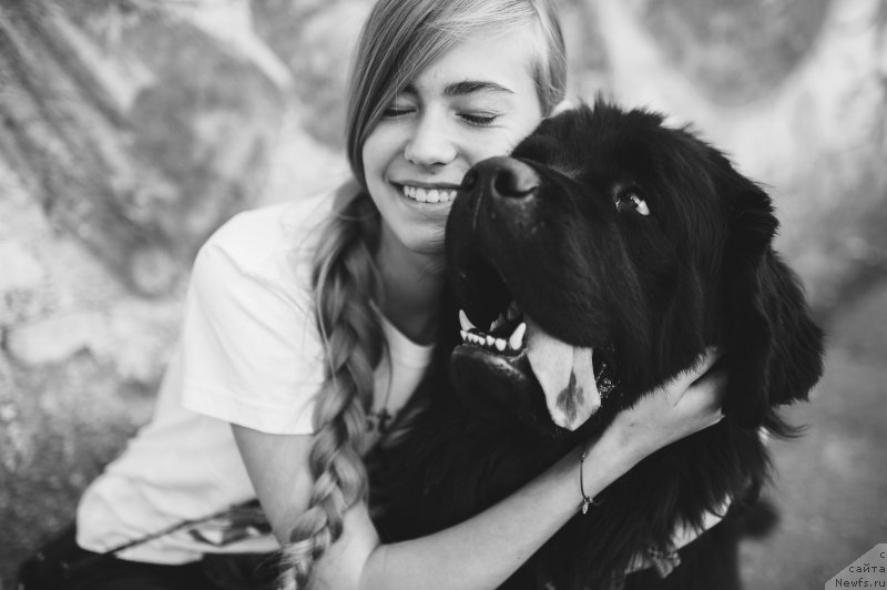 Фото: ньюфаундленд Radost' Moya Vyaliki Myadzvedz' (Радость Моя Вялiкi Мядзведзь)