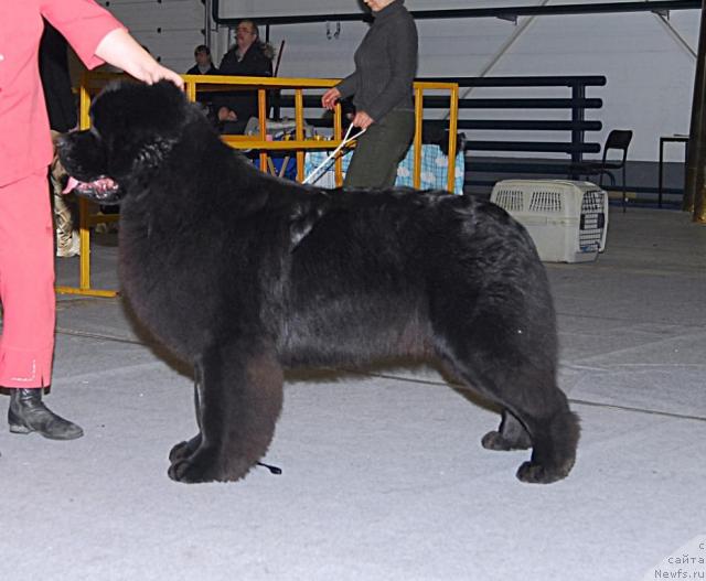 Фотография № 23009