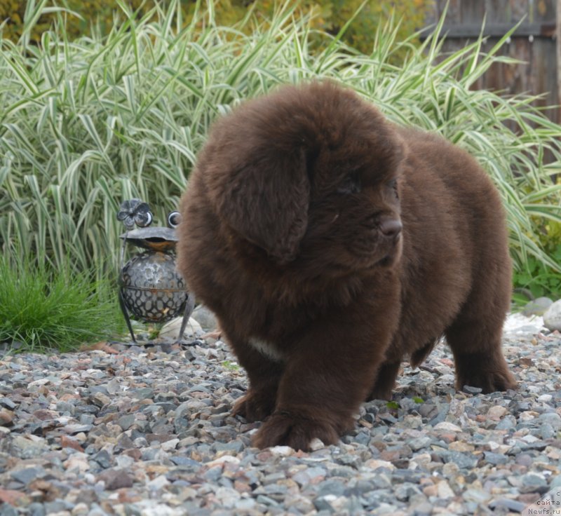 Фотография № 230098