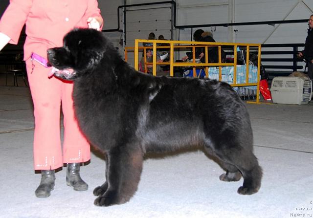 Фотография № 23010