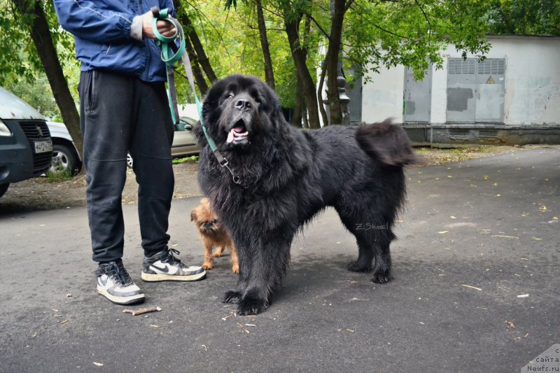 Фотография № 230146