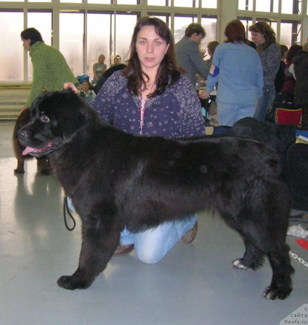 Фотография № 23015