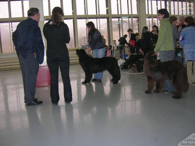 Фотография № 23017