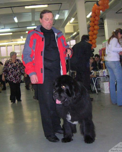 Фотография № 23018