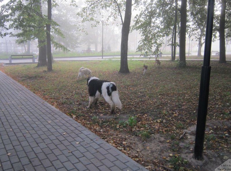 Фотография № 230184