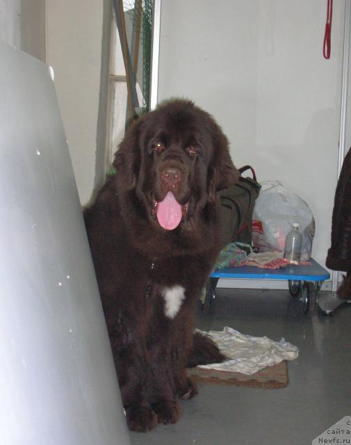 Фотография № 23020