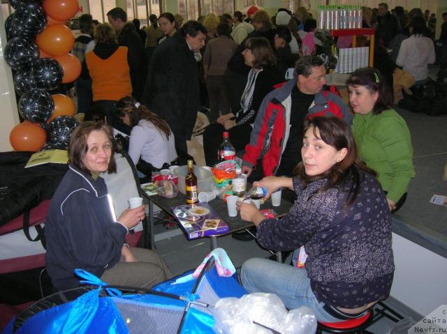 Фотография № 23021