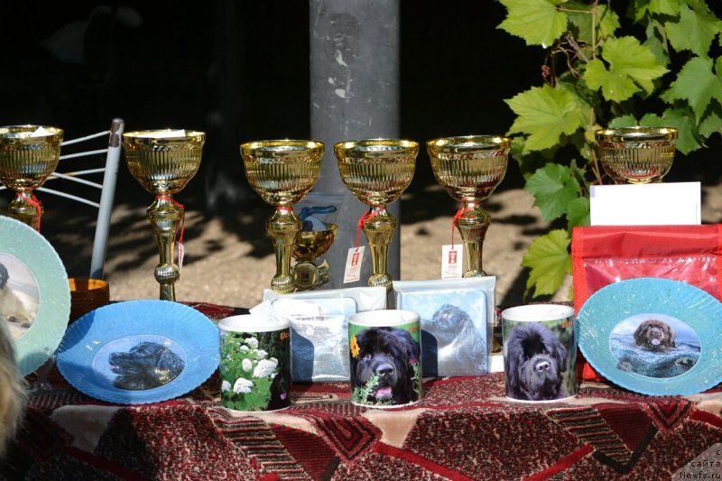 Фото: Elena Votchal (Елена Вотчал)