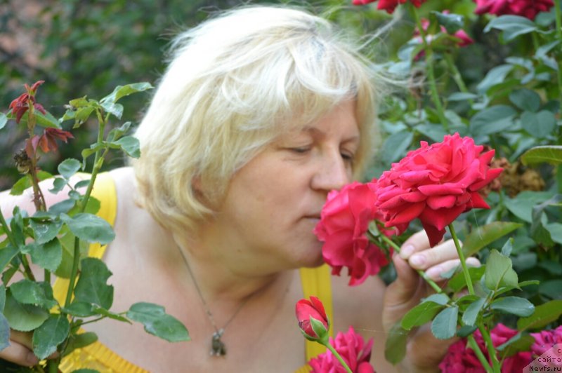 Фотография № 230263