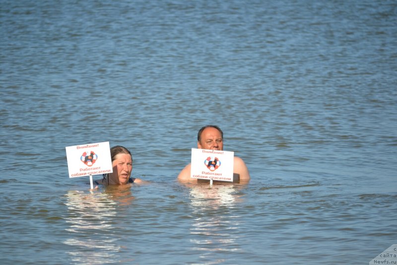 Фотография № 230264