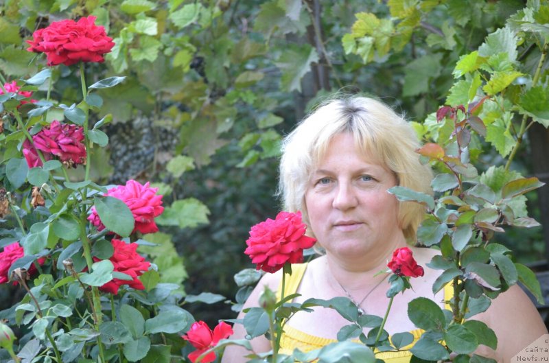 Фото: Inna Zimina (Инна Зимина)