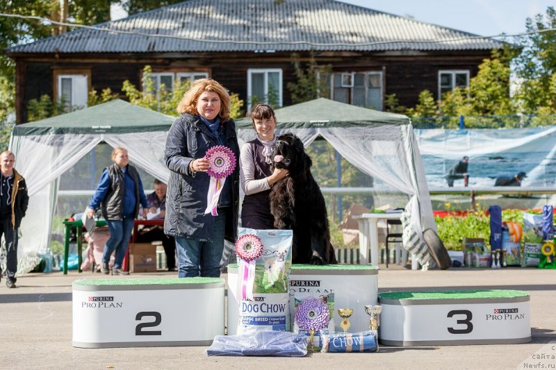 Фотография № 230289