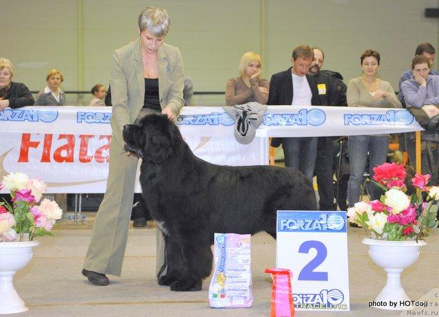 Фотография № 23029