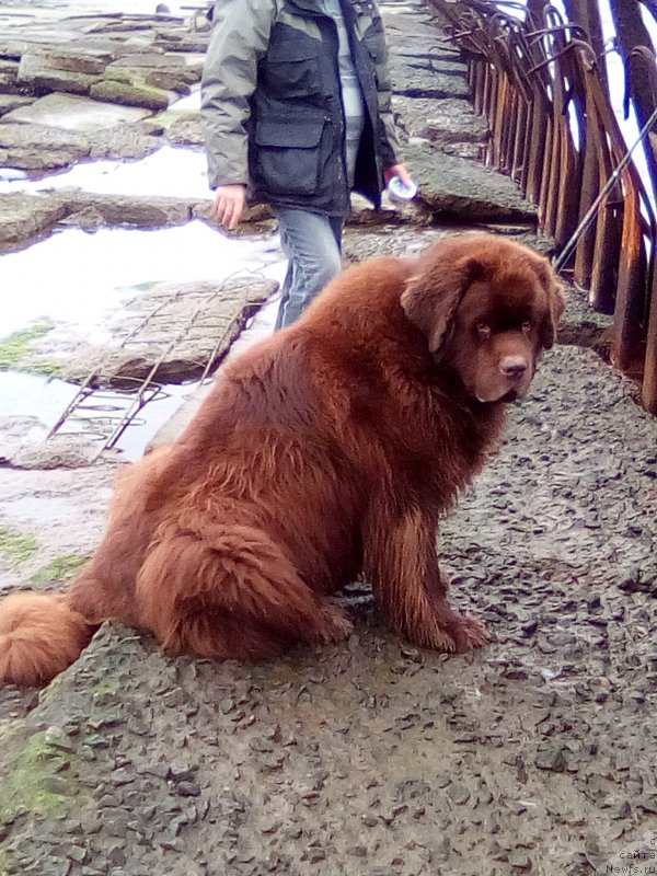 Фотография № 230293