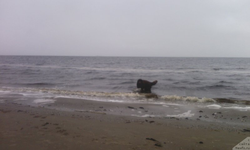 Фотография № 230297