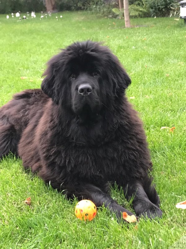 Фотография № 230308