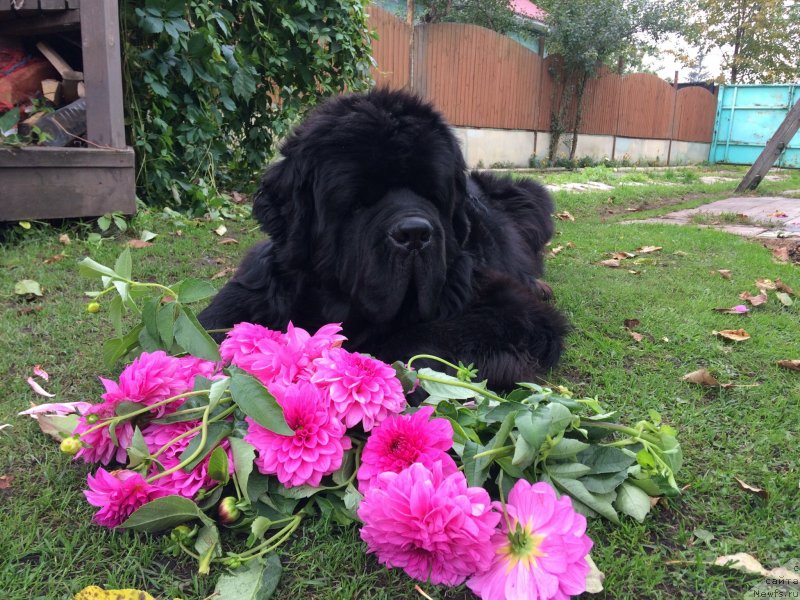 Фотография № 230359