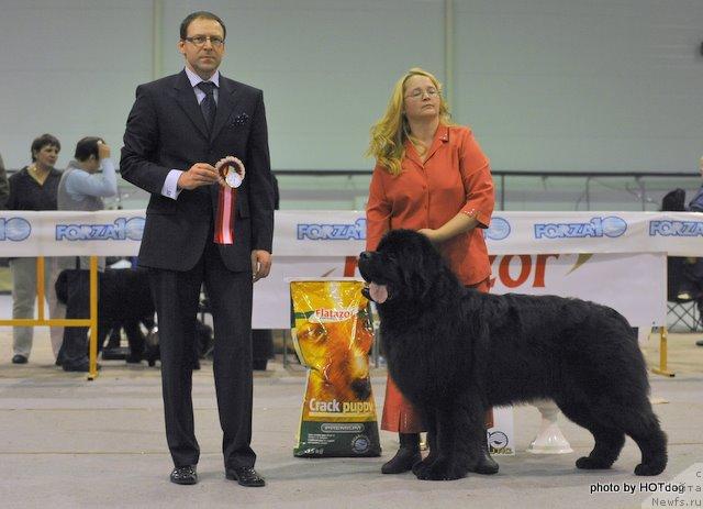 Фотография № 23038